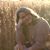 Natalye Steele's profile image