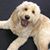 Noreen Dunnells's profile image