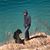 Hadryn Holton's profile image