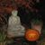 Verilee Herpich's profile image