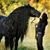 Christine Argoud's profile image