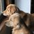 Lin Vosbury's profile image