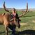 Kim Kelley's profile image