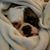 Lisa Cunningham Cliff's profile image