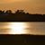 Carol Shafer's profile image