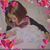 Nancy Templeton's profile image