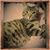 Melody Maret's profile image