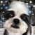 Diane Makarewicz Miller's profile image