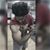 Nimish Agarwal's profile image