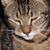 Sarah Ripley's profile image