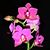 Janet Tillman's profile image