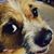 Timothy D. Henshaw's profile image