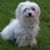 Bonnie Yuhas's profile image