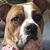 Kimberly Bauer's profile image