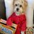 Patty Spurlin's profile image