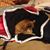 Susan Hubbard's profile image