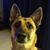 Phoenix Gifford's profile image