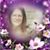 Suzi Vigeant's profile image