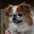 Marybeth Derthick's profile image
