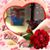 Dorothy Golightly's profile image