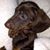 Shannon Farmer's profile image