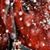 Kena Strack's profile image