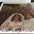Debby Bostrom's profile image