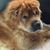 Malinda Craig's profile image