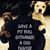 Lorrie Stanton Kauffman's profile image
