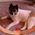 Mindy Sharp Gaines's profile image