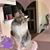 Theresa McKinley Foss's profile image
