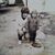 Jerry D Sharples's profile image