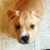 LeeAndra Marie's profile image