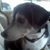 Jan Snider Ward's profile image