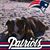 Savanah Palko's profile image