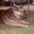 Rod Marquardt's profile image