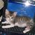Liliane Hoeven's profile image