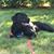 Becca Donah Rolandini's profile image
