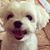 조미란's profile image