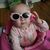 Catherine Danielson's profile image