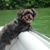 Amy Hughes Terry's profile image