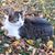 Ally Greider's profile image