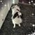 Tricia Helsel's profile image