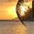 Tracey Aumiller McKenzie's profile image