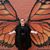 Christina M. Perez's profile image