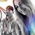 Kabie Lee Allen's profile image