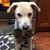 Stacy Kletter Calabrese's profile image