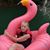 Patricia Grogan's profile image