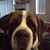 Rich Robinson's profile image
