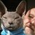 Bob Stembridge's profile image